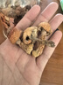 知香尝味新货姬松茸干货松茸菌巴西菇精选非特级无硫本色蘑菇菌菇150g 实拍图