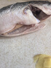 鲜活冲浪河鲈鱼400-500g/条 实拍图