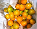 京鲜生 广西皇帝柑/橘子 净重5斤 单果100g起 生鲜水果年货礼盒 实拍图