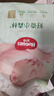 好奇（Huggies）小森林纸尿裤S62片(4-8kg)尿不湿心钻【透氧顶配更低敏】 实拍图