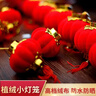 多美忆小灯笼挂件红灯笼串新年装饰春节灯笼马年2026过年阳台商场户外 实拍图