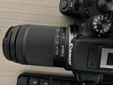 佳能（Canon）RF-S 18-150mm F3.5-6.3 IS STM 高倍率变焦半画幅微单相机镜头 晒单送赠品 实拍图