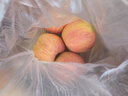 京鲜生 新疆特级库尔勒香梨 净重5斤单果120g以上 生鲜水果 实拍图
