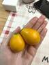 京鲜生 融安金桔/脆蜜金柑小糖豆 净重1斤 单果18g起 生鲜水果 实拍图
