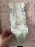 babycare金山茶花纸尿裤M37片(6-11kg)婴儿尿不湿超薄透气新生柔花苞裤 实拍图