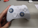 飞智冰原狼4多模版无线游戏手柄 类xbox 力调节摇杆双切扳机 switch电脑PC手机steam体感NS 丝之歌 实拍图