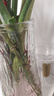 玻璃花瓶透明植物插花瓶水培容器大花瓶装饰客厅摆件 透明水波纹（17*5.5*8） 1个装 实拍图