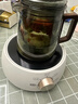 苏泊尔（SUPOR）迷你电陶炉煮茶器煮茶炉煮茶壶养生围炉煮茶茶艺炉泡茶家用办公老白茶黑茶花茶不挑器具SW-DTL01 实拍图