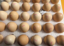 京鲜生柴鸡蛋30枚 3斤 无抗生素 谷物喂养鲜鸡蛋 源头直发 实拍图