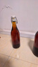 维艾（Newair）玻璃酒瓶空瓶密封高档泡酒瓶子专用红酒白酒自酿存装分装储酒容器 实拍图