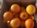 京鲜生 云南哀牢山冰糖橙/橙子 5斤装  单果100-130g 生鲜水果年货礼盒 实拍图