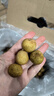 京鲜生泰国进口精选龙眼  净重3斤 果径23-25mm 水果礼盒源头直发 实拍图