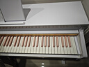 海蒂诗 电钢琴88键重锤电子钢琴儿童初学幼师专业成人家用数码立式钢琴 P-313烤漆白-蓝牙-全重锤-配琴凳 实拍图