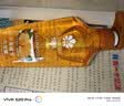 蜂花（BEE&FLOWER）洗发水生姜健发无硅油洗发露去油强韧男女士蓬松滋润清爽洗发露 生姜健发洗发露550ML 实拍图