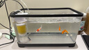 阔庭鱼缸懒人鱼缸家用客厅办公室金鱼缸过滤鱼缸黑色款 实拍图