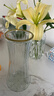 特大号轻奢创意简约玻璃花瓶透明水养鲜花北欧ins风客厅插花摆件 【28高描金】透明太阳花 实拍图