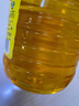 鲁花 食用油  物理压榨  非转基因 玉米油6.18L   实拍图