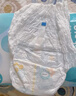 帮宝适超薄透气清新帮拉拉裤新生儿婴儿尿不湿尿片透氧Pro XL84 实拍图