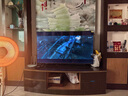 TCL雷鸟电视 55英寸雀4 144Hz高刷 2+32GB 自定义遥控器 家电国家补贴电视55F270C-JN 实拍图