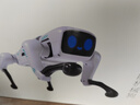 盈佳售20万智能ai机器狗rc遥控车机器人儿童玩具男女孩生日新年礼物 实拍图