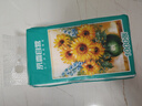 【千万销量】向日葵油画系列1000张悬挂式抽纸卫生纸4层加厚 尝鲜装 4层 1000张*1提 实拍图