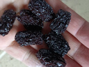 六养源黑枣500g特级黑枣干免洗即食狗头枣乌枣煲汤干吃零食非无核中药材 实拍图