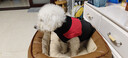 SLPC狗狗衣服中小型犬柯基泰迪保暖冬装博美小狗棉服马甲金毛大狗衣服 红 XXL建议14到18斤 实拍图