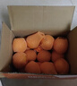 京觅秭归脐橙纽荷尔橙子净重9斤精品果200g+新鲜水果礼盒源头直发包邮 实拍图