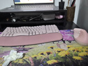 罗技（Logitech）Wave Combo 无线人体工学键鼠套装 垂直鼠标 无线蓝牙鼠标 办公键盘 无线键盘 蓝牙键盘 粉色 实拍图