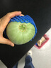 京鲜生 【年货】东北绿宝甜瓜 净重5斤装 6-8粒 单果300g+ 水果源头直发 实拍图