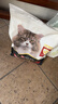 冠能猫粮成猫猫粮三文鱼味2.5kg 全价猫粮 稳固免疫 适口性强 实拍图