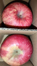 京鲜生 陕西洛川红富士苹果 净重5斤75-80mm单果170g+新鲜水果源头直发  实拍图