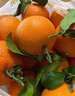 京鲜生 四川爱媛38号果冻橙 净重8斤 单果190g起 生鲜水果橘桔年货 实拍图