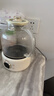 OIDIRE（偶点）全玻璃养生壶 花茶壶无胶水煮茶壶 煮茶器办公室恒温养生壶烧水壶电热水壶炖煮智能保温 1L ODI-HC01花茶养生壶【不带滤网】 实拍图