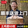 乡公馆土鸡蛋新鲜农家散养谷物喂养无抗土鸡蛋柴笨鸡蛋草鸡蛋新鲜整箱装 土鸡蛋60枚  整箱2.4kg 实拍图