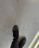 拉思珀蒂瓦（LA SPORTIVA）攀岩鞋男女入门级初学者基础训练室内抱石狼蛛 Tarantula Boulder 金属灰/夕阳橙 37 实拍图