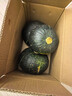 京鲜生 精品贝贝南瓜(软糯瓜)六粒礼盒装 净5斤 年货礼盒 辅食 源头直发 实拍图