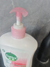 滴露（Dettol）洗手液抑菌滋润450g*2+松木450g*2儿童家庭补充装消毒温和护手 实拍图