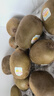 佳沛（zespri）意大利 阳光金奇异果12粒年货礼盒特大果单果约122-146g 猕猴桃 实拍图
