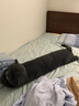 野兽派家居（tbh）懒蓝猫长条抱枕 枕头靠垫家用客厅沙发腰枕床头靠枕礼物 懒蓝猫条形抱枕22X115cm 0cm*0cm 含枕芯 实拍图