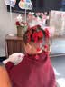 班哲尼发夹蝴蝶结毛绒头饰新年礼物红色喜庆新中式汉服发饰儿童发卡成人 实拍图