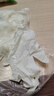 乌斯京（WOLSGIN）一次性手套丁腈手套100只中码橡胶食品级加厚耐用厨房防护丁晴白 实拍图