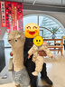 巴拉巴拉婴儿羽绒服连体衣宝宝男童女童2025新款冬装保暖萌趣文艺时尚新颖 实拍图