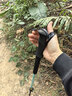 牧高笛（MOBIGARDEN）征途伸缩铝合金登山杖 户外徒步登山手杖超轻外锁登山杖 天河蓝135CM（单根） 实拍图
