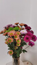 【七彩小雏菊】鲜切花混搭混色多头鲜花插瓶水养花期长七夕礼物 随机混色小雏菊50CM20枝 实拍图