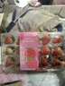 京鲜生 红颜奶油草莓 2斤礼盒装 30-40颗 单果22g+ 生鲜水果年货礼盒 实拍图