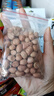 花生米 中小颗粒 新货生花生炸花生米煲汤做菜熬粥可发芽 花生米100g 体验装 实拍图