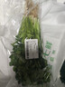 带根香菜100g 实拍图