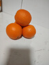 京觅秭归九月红果冻橙 净重4斤单果150g+爆汁化渣 当季现摘源头直发 实拍图