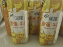 伊利味可滋香蕉牛奶240ml*12盒  营养早餐搭档 礼盒装 10月产 实拍图